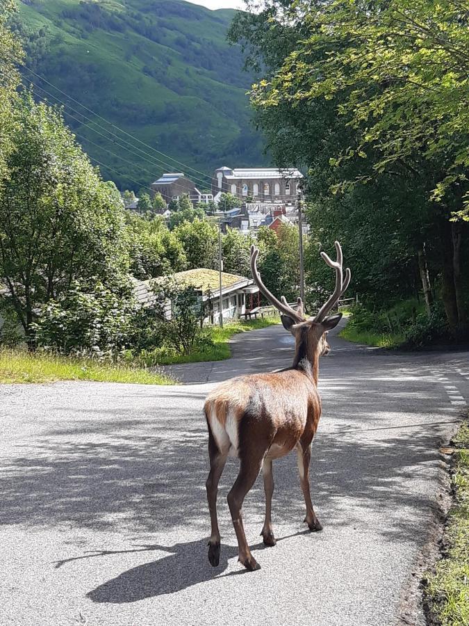Chalet Nevis Pod, West Highland Way Holidays Kinlochleven